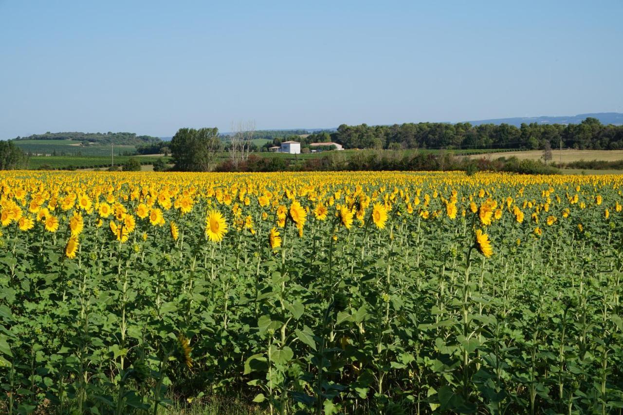 Le Clos Des Troubadours Pennautier エクステリア 写真